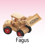 Fagus